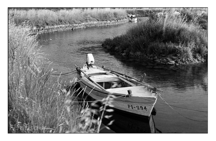 Canon P, Jupiter-8 50 f/2, Kodak Portra 160 (desaturated)